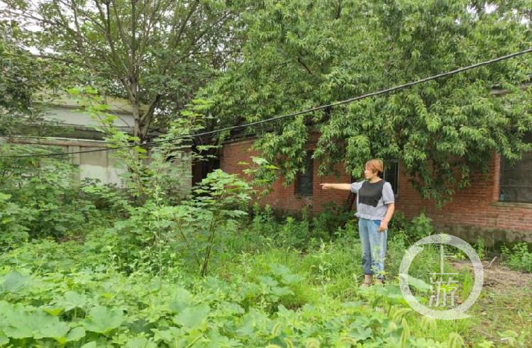 检察院|安徽13年前厕所藏尸案主犯改判无罪，检察院已提起抗诉