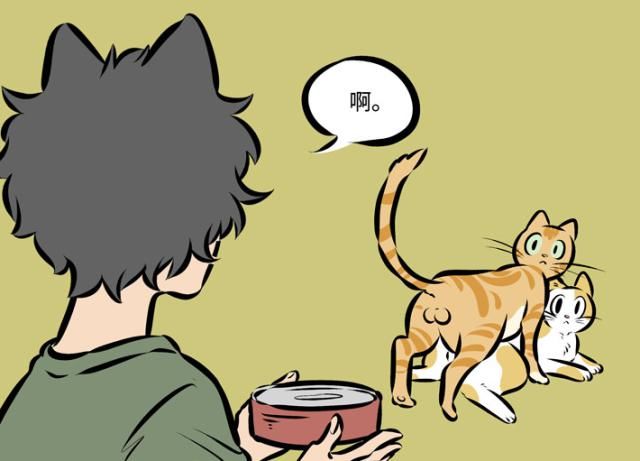  备胎|万圣街：桃子莫名给人当了“备胎”，猫咪快还我“少女心”！