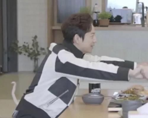 周震南|明星错位照:肖战穿毛裤,何炅长出尾巴,看到周震南:不打算解释下