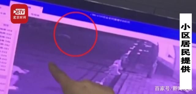  高空|小区两只小狗先后被高空抛下致死！高空抛物几时休？