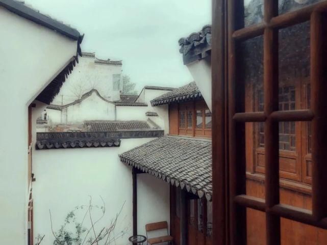 辰山植物园|好看！这才是松江夏天的正确打开方式