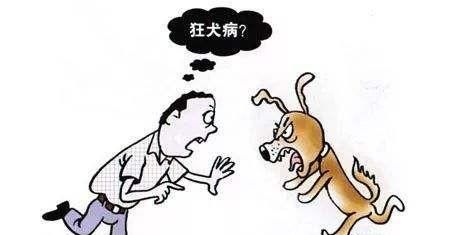  突发|3岁时被狗咬伤未处理，20年后却突发狂犬病，是怎么回事