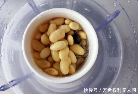 黄豆|早餐打豆浆,黄豆泡好不要直接打,教你1招,豆浆香浓更丝滑