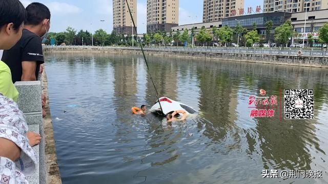  有人|突发！荆门一男子驾车冲入湖中，车上载着母亲！紧急关头，有人跳湖救人
