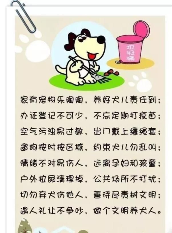 养犬|文明养犬,我们不掉“链”!