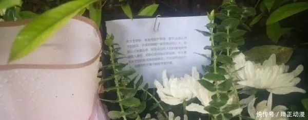 父母|重大案件！杭州来女士父母曾经反对过和许某某在一起，来女士却不听，命中注定？