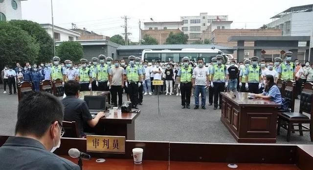 驾驶|洛宁集中公开审判9起危险驾驶案