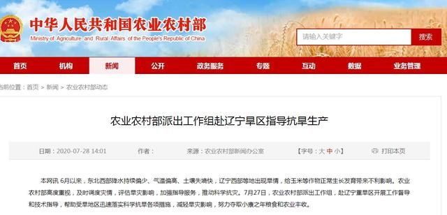 派出|辽宁西部等地出现旱情 农业农村部派出工作组指导抗旱生产