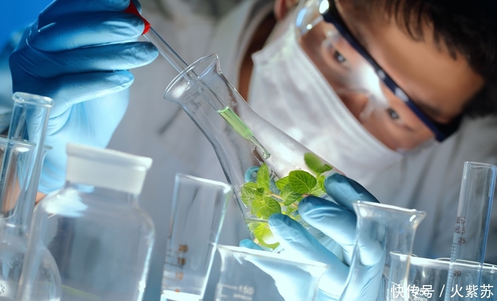 反噬|北大教授:科研经费猛于虎,管不好用不好会反噬科研