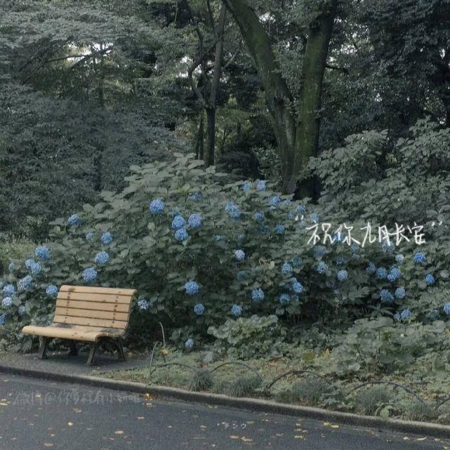  習慣|背景 | “放不下的只是習慣”