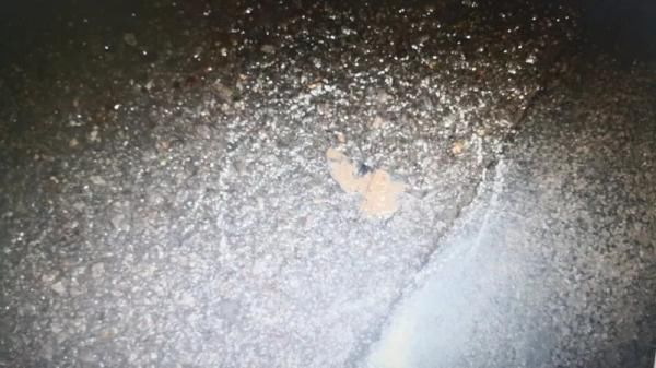  小型普通客|环县公安交警成功侦破一起致人死亡交通肇事逃逸案