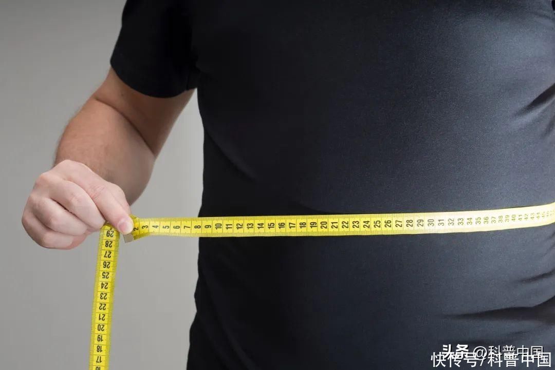 科学解析你变胖的真相(最新研究：胖真不怪你，是大脑在作怪，越胖越想吃)