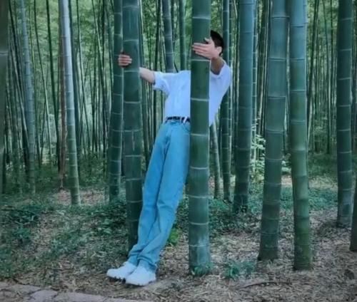  竹子|肖战竹林大片花絮曝光，原来和竹子相关的他，也有个梦想和希望