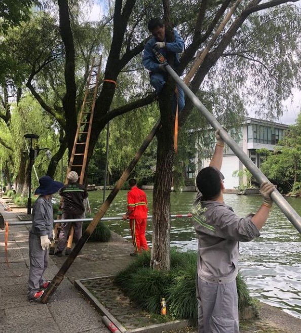 阳台|杭州升级台风预警，“黑格比”正逼近！沿途瀑布“逆流”，高楼阳台被“拆”