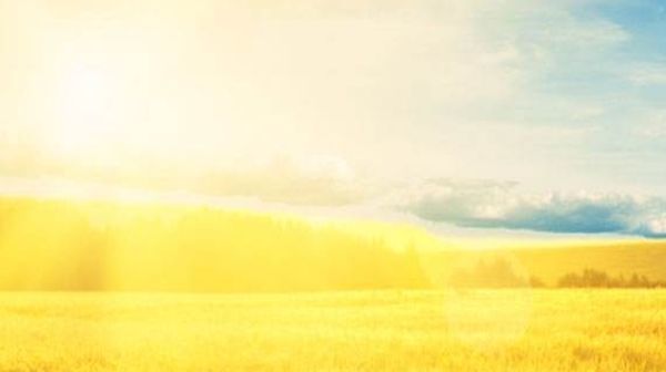  生肖|别自作多情，爱不爱一个人，这4大生肖都会表露在脸上！