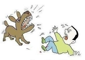  饲养动物|别小看一条狗链子！内蒙古一狗主人被判赔14万