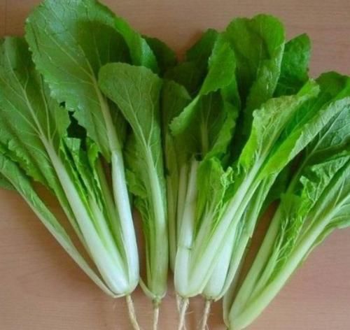  鲜嫩|入伏后，用这菜包包子，鲜嫩多汁，1斤1元，高铁高钙，多吃眼睛亮