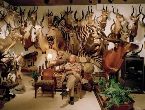  合法|有钱人花上33万，就可以在加拿大合法杀死一只北极熊