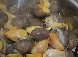 今日|今日开海!这84种海鲜,你都认识吗?你真的会吃海鲜吗?