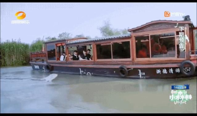  听雷|《奇妙小森林》《重启之极海听雷》里的德清元素等你get!