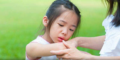  昆虫|踏青要小心昆虫叮咬