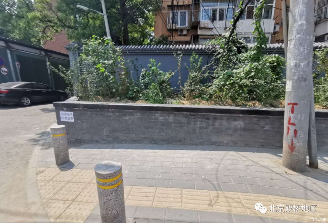  双桥|花图腾惹人眼 双桥路景观终揭开神秘面纱