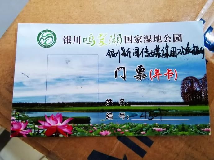 塘边|览夏 || 鸣翠湖：芦丛荡舟，迷宫观鸟，塘边赏荷……这样消暑很“靠谱”！