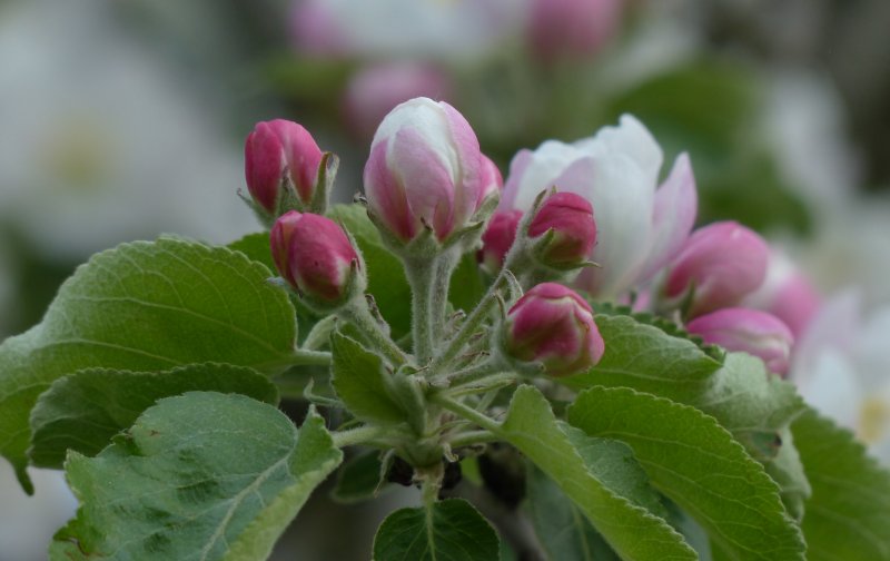  好运|8月开始有好运伴随，事业求财都能够一帆风顺的4星座