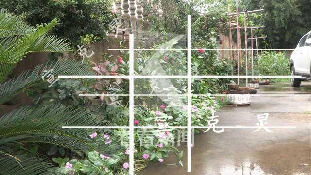 阻止|阻止偷盗集体财物 80岁退伍军人遭歹徒击打头部身亡