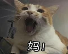 香绝|早餐别只喝豆浆了！这新吃法香绝了，简单又省心