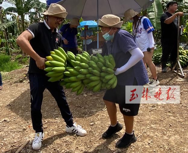 仁东镇鹏垌|令人骄傲！玉林这些地方的变化真大