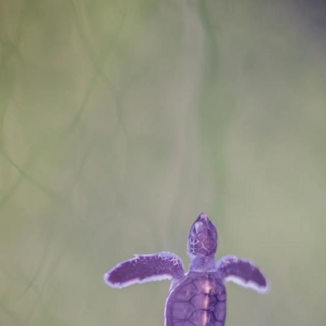  shui|陈燕：光不度，shui水成文