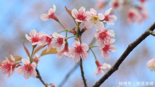 阳光|你曾给我的世界,带来阳光般的温暖