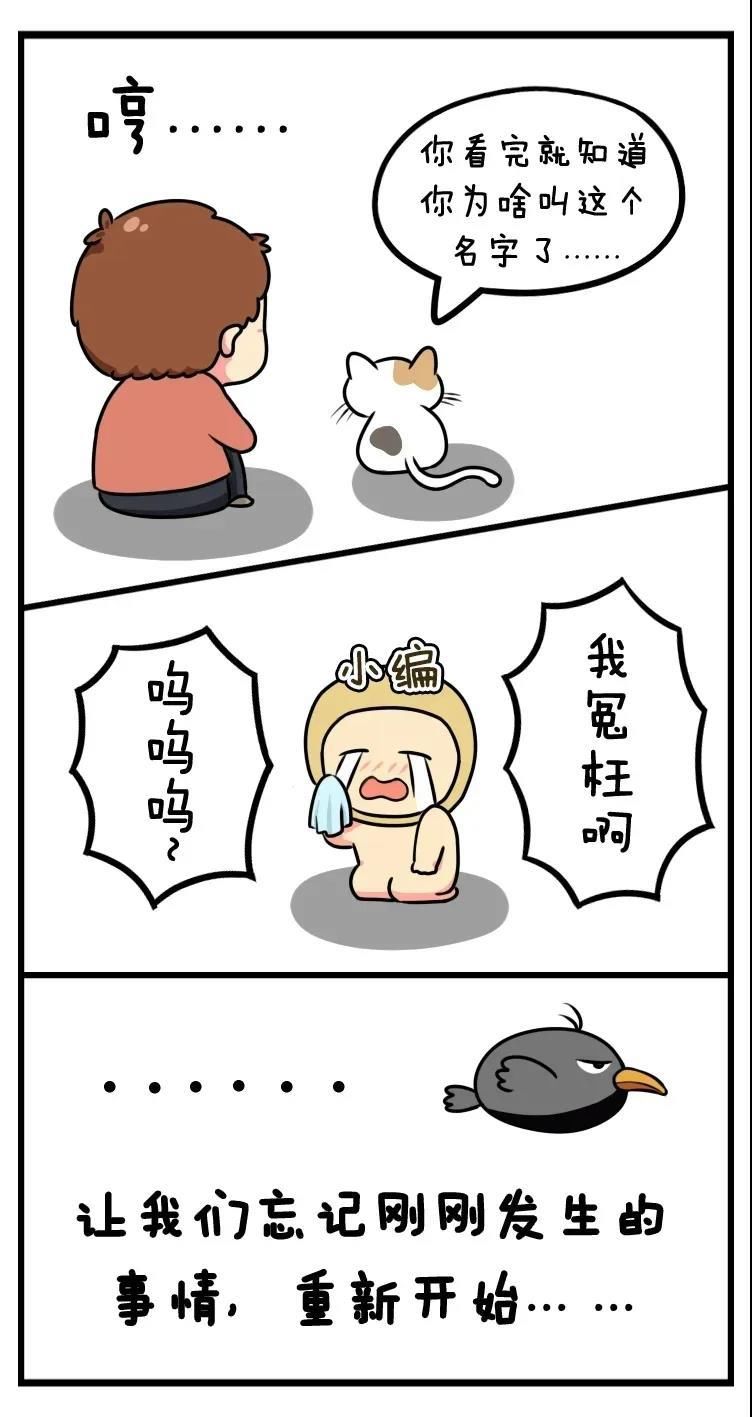 巅峰|10分钟赚20块，毫不费力走上“人生巅峰”？这个骗局真有人上钩！