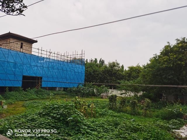  院子|公共绿地被圈占，一占就是8年多