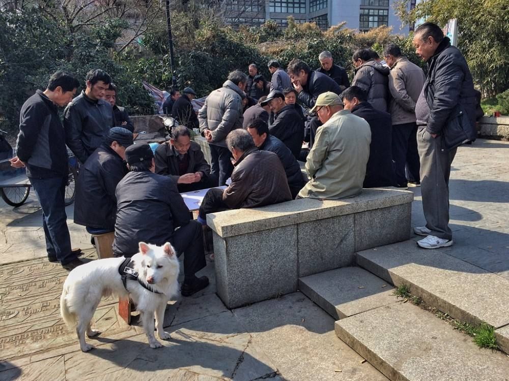 社会底层|为什么社会底层更反美?信息化时代的数字鸿沟,让底层更加底层