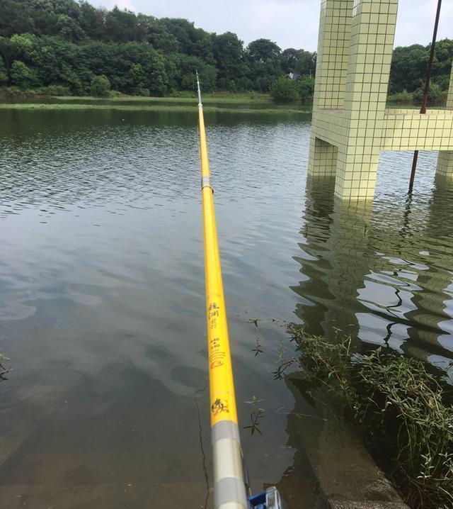 足以|竿梢常指水,足以慰风尘