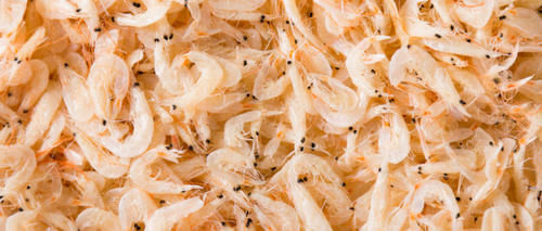  就可以将|鸡蛋与虾皮的搭配，孩子们多吃有助于补钙，不信你试试