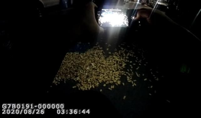 吴师傅|凌晨，偷菜贼被抓住了