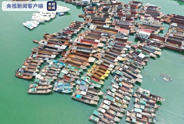 警方|深圳警方查扣涉走私冻品508.39吨 346人落网