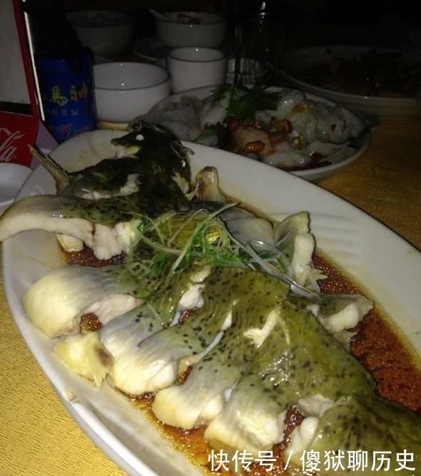 甲鱼|比甲鱼营养,一斤卖到300元,被誉为“淡水鱼之王”,却常被嫌弃