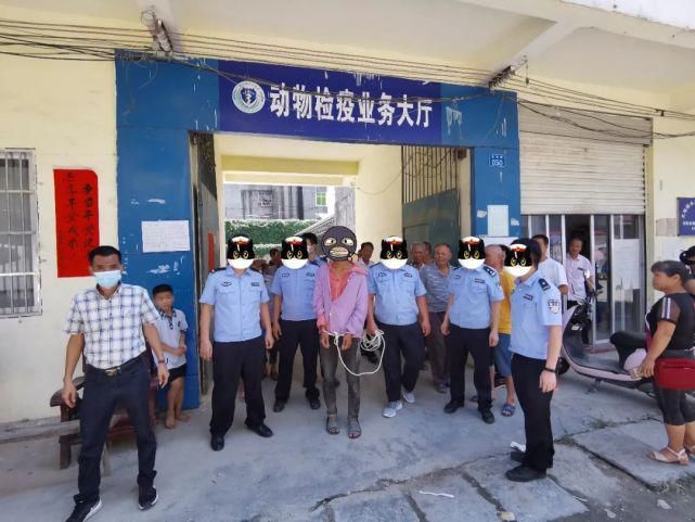 文地镇|点赞!文地1名偷车的盗贼已被文地派出所抓了......