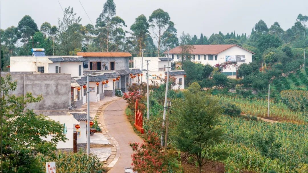  仁寿|仁寿有个村，名字叫“同意”！