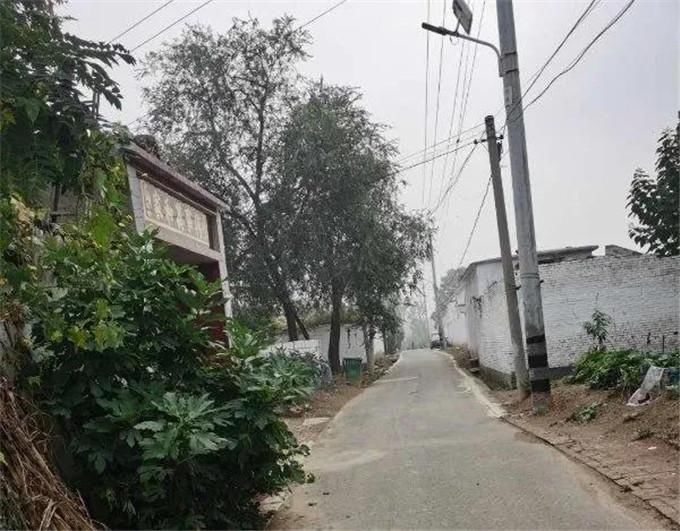 东阿县|东阿县文化和旅游局深入开展“三遍访”工作