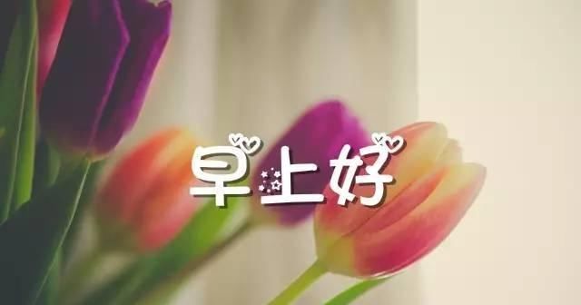 烦恼|早安心语：只有能屈能伸，才会让自己的心足够坚韧