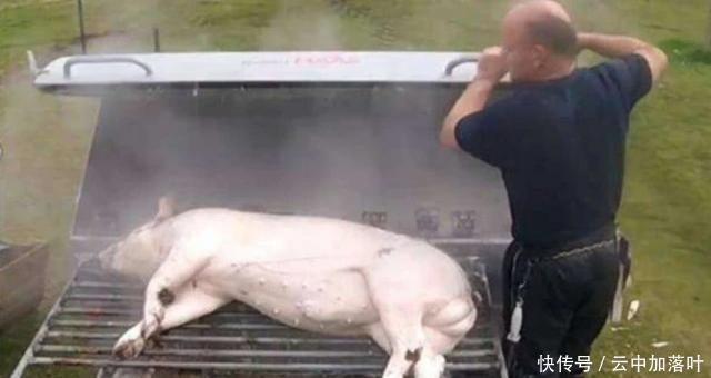 干净|猪好吃可毛却是难刮干净,于是它来了,“刮猪毛神器”走来了!