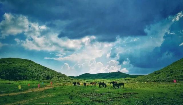 帐篷|八面山景区旅游攻略