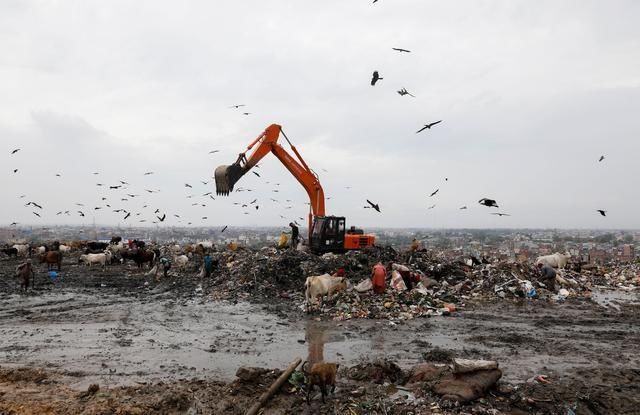  艰难|印度首都医疗废弃物暴增成患 拾荒者冒着染疫风险艰难求生