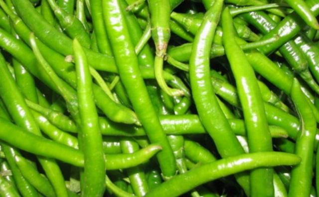  秋天|秋天，此菜正当季，一次囤20斤，晒一晒炒一炒，香辣脆爽，特下饭