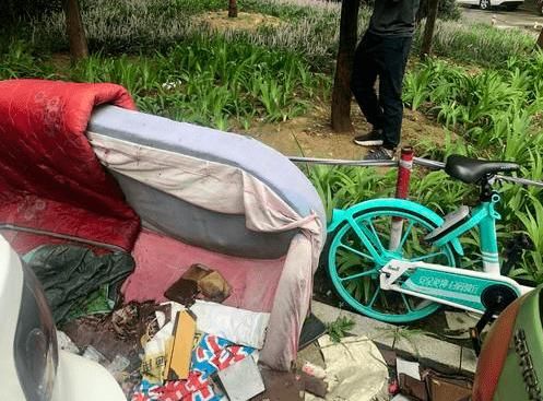 垃圾|熊儿河暗渠段缺乏管理，杂草丛生、垃圾堆积